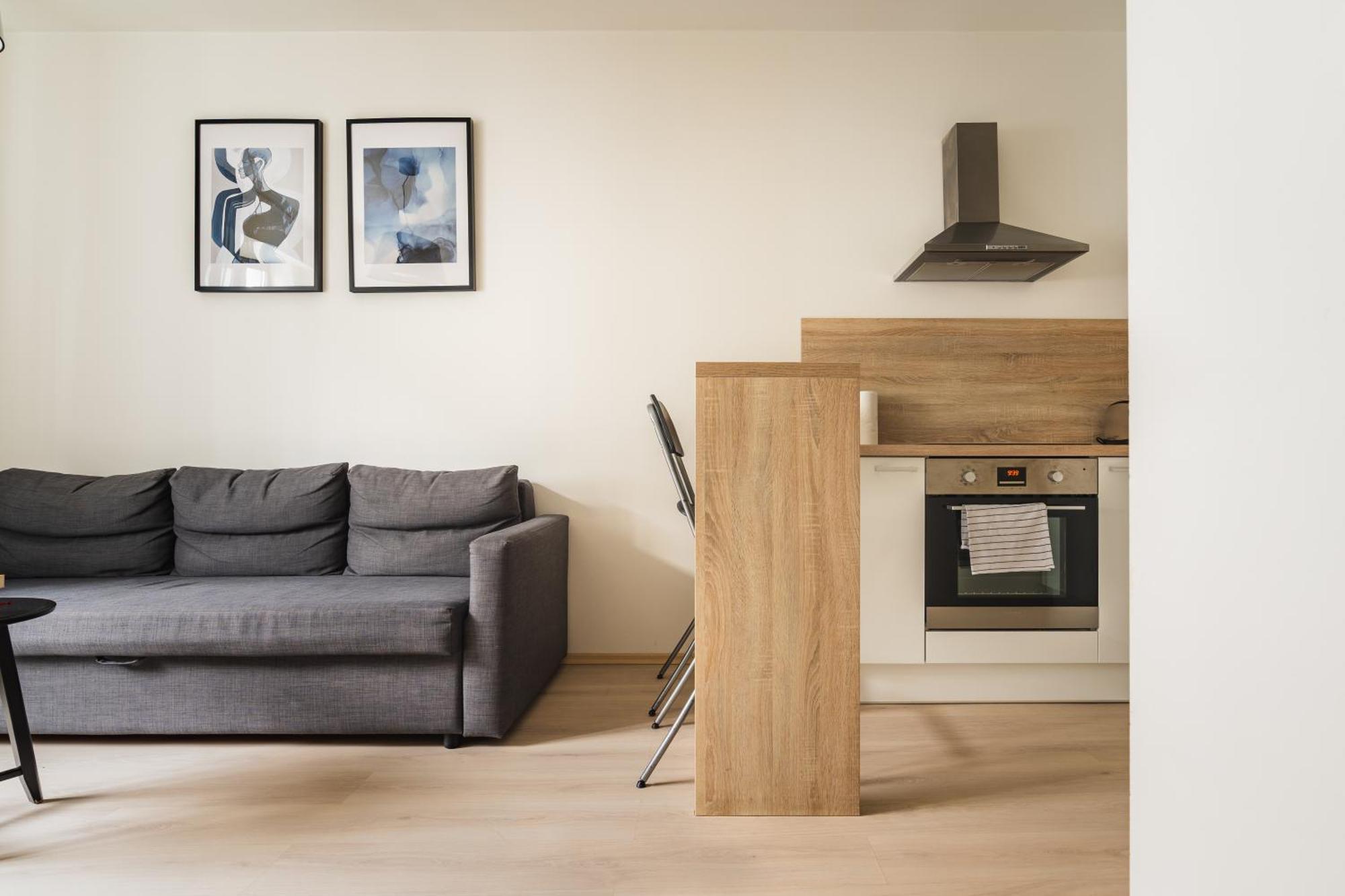 Charming & Cozy Ambiente Apartments ブラチスラヴァ エクステリア 写真